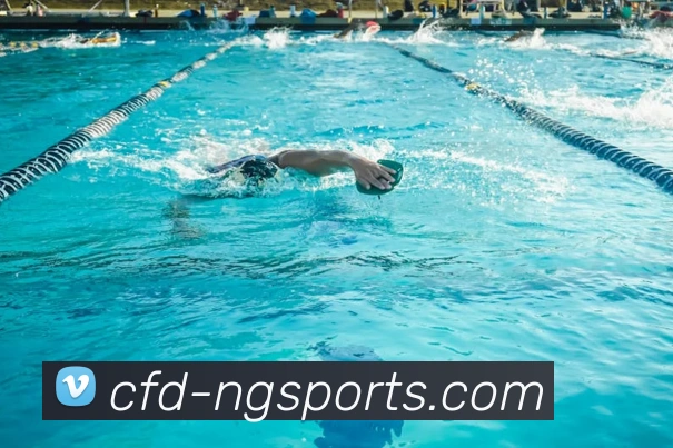 ng娱乐平台生态图