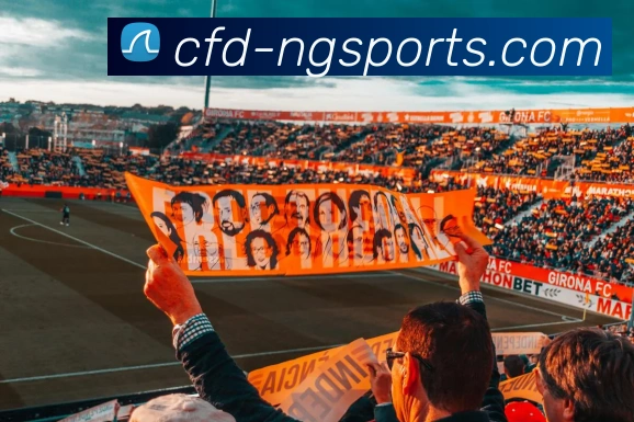 ng娱乐APP 封面图